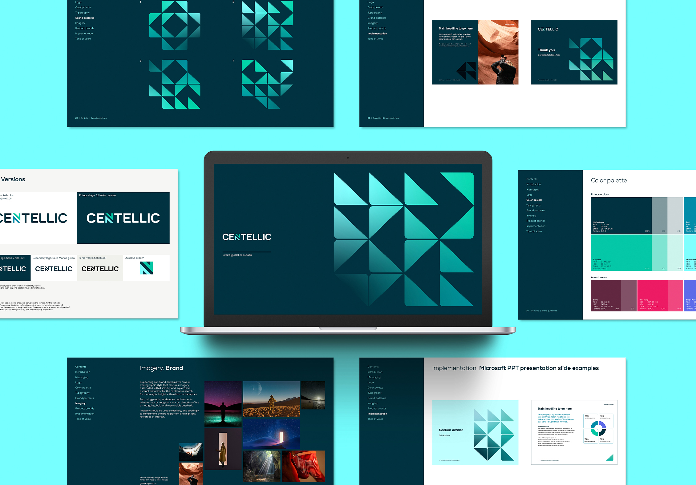 Centellic brand guidelines image