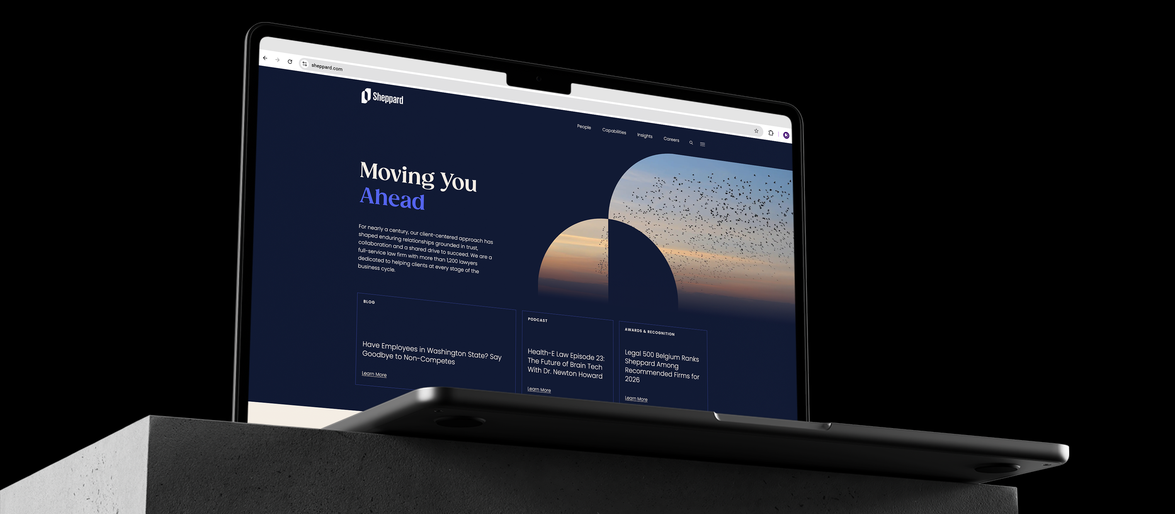 Living Rating Digitalsnapshot Sheppard